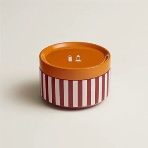 Hermes Epopee box, medium model NWT